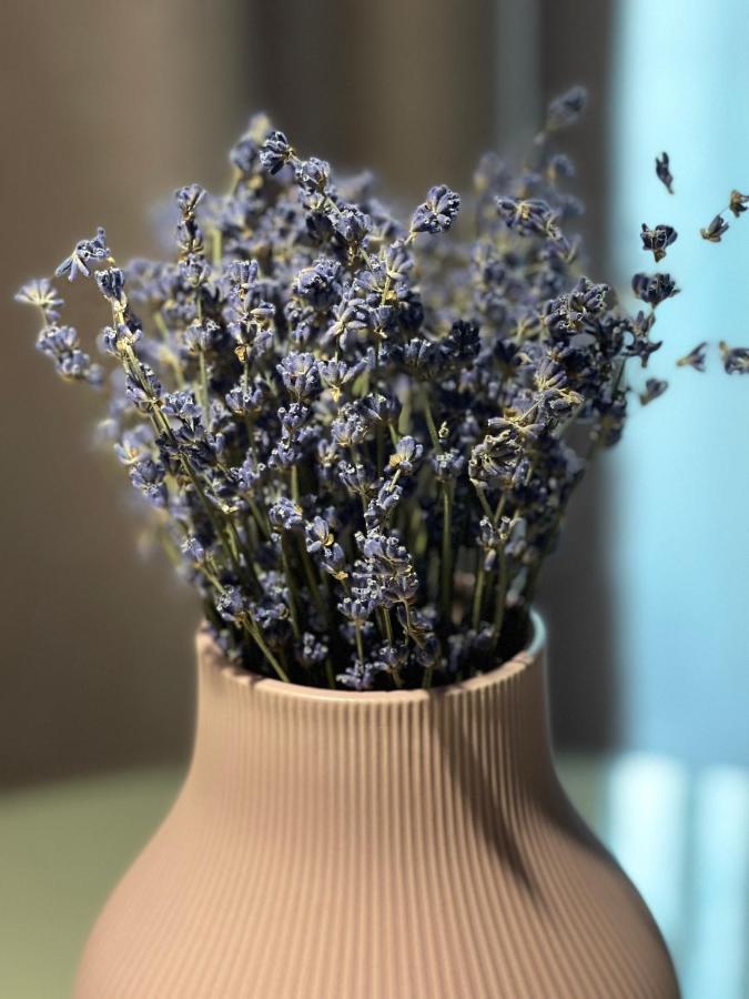 Târgu-Mureş Jeny Boutique Apartment מראה חיצוני תמונה